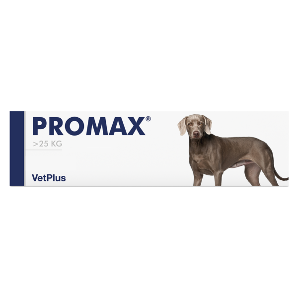 Promax Large Breed Portugal