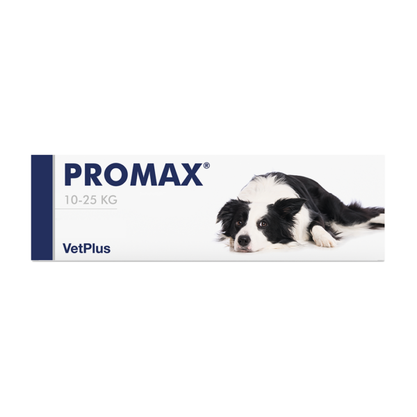 Promax Medium Breed Portugal