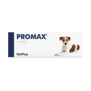 Promax Small Breed Portugal